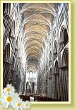 Rouen_LLA (116)